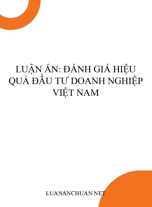 Luận án: Đánh giá hiệu quả đầu tư doanh nghiệp Việt Nam
