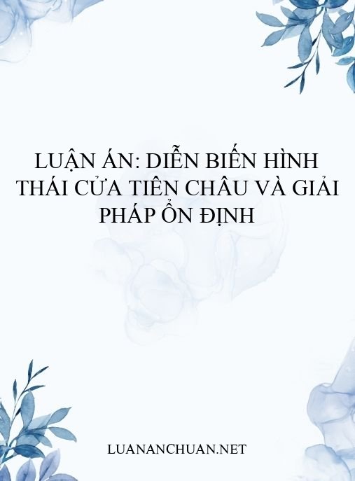 Luận án: Diễn biến hình thái cửa Tiên Châu và giải pháp ổn định