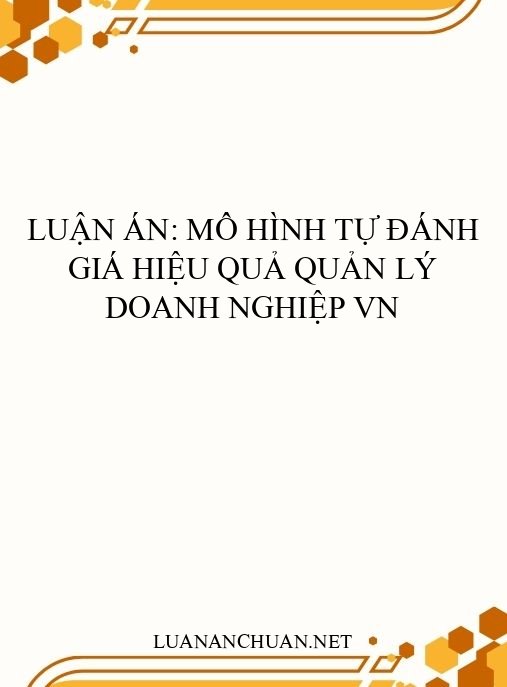 Luận án: Mô hình tự đánh giá hiệu quả quản lý doanh nghiệp VN