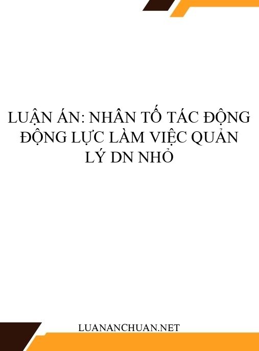 Luận án: Nhân tố tác động động lực làm việc quản lý DN nhỏ