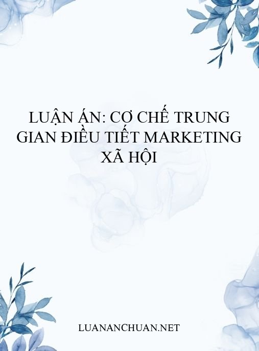 Luận án: Cơ chế trung gian điều tiết marketing xã hội